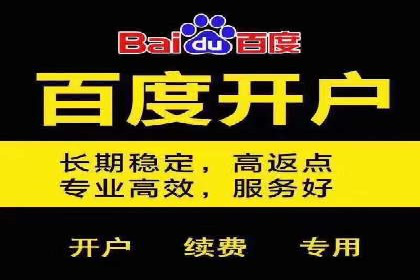 SEM托管服务案例：精准定位，高效转化